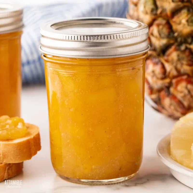 Jams, Wines, and Fermented Experiments: The Unexpected Ways Caimito Is Showing Up in American Kitchens
