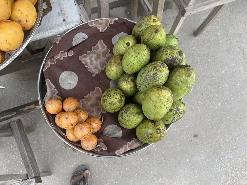 Backyard Winner, Commercial Loser: The Strange Double Life of the Star Apple Tree