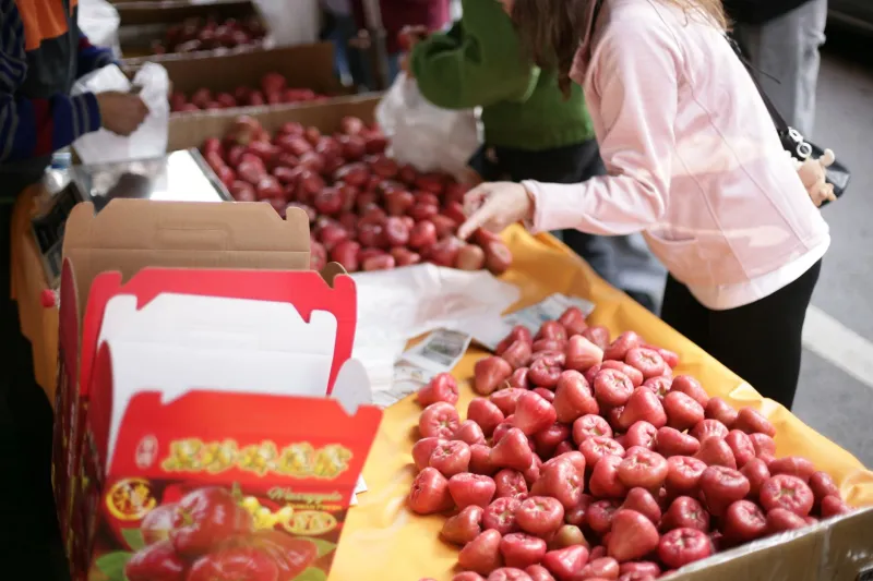 Your Month-by-Month Map to Fresh Caimito: Where Star Apple Season Actually Peaks